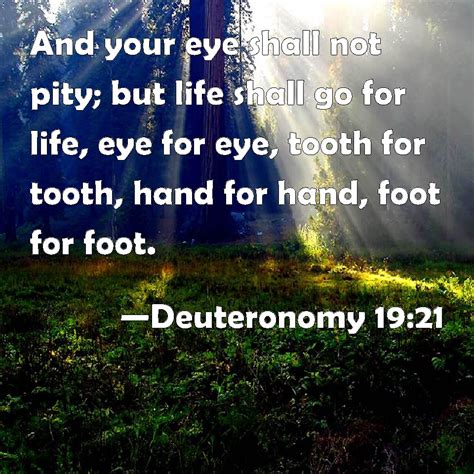 Deuteronomy 19:21 And your eye shall not pity; but life shall go for ...