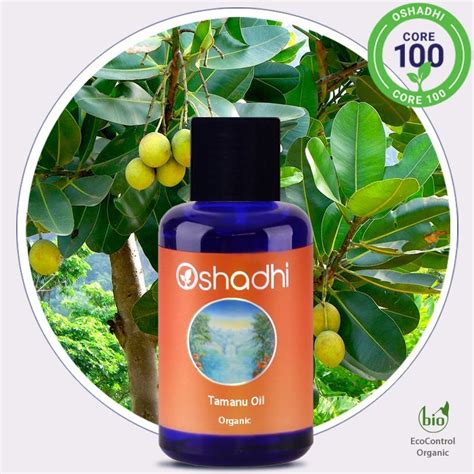 Tamanu Oil Organic - Oshadhi Essential Oils