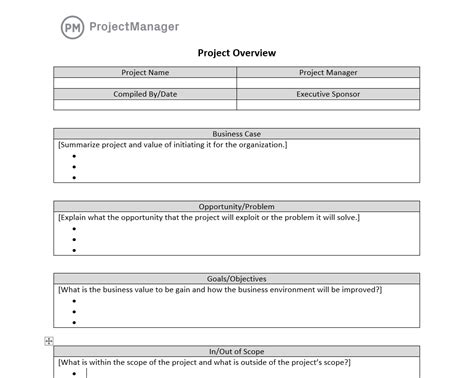 Project Overview Template for Word (Free Download)