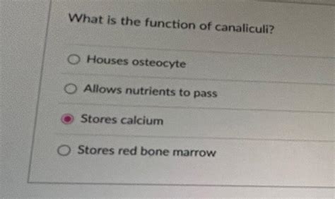 Solved What is the function of canaliculi?Houses | Chegg.com