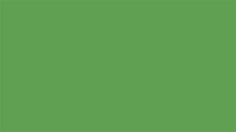 Muted Green Solid Color Background Image | Free Image Generator