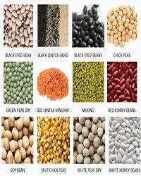 Grains & Pulses, | Vijay Enterprises in Eachanari, Coimbatore | ID ...