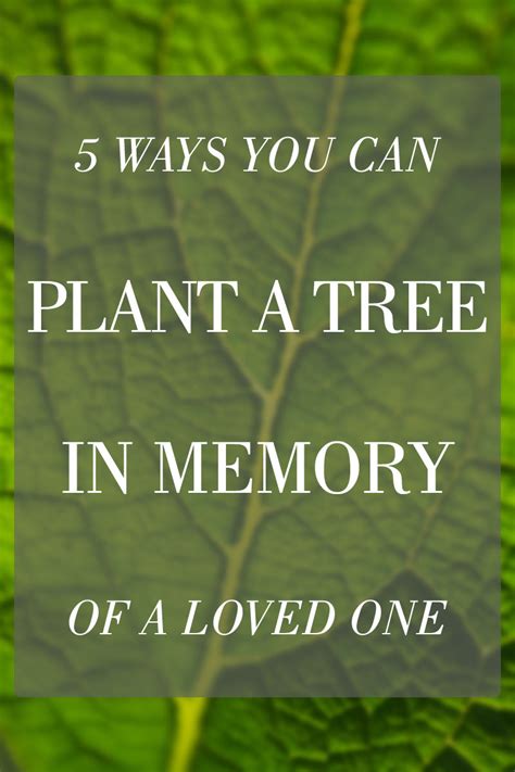 5 Ways You Can Plant a Tree in Memory of a Loved One » Urns | Online