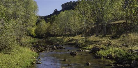 Preserving a Lifeline for the Verde River - Western Rivers Conservancy