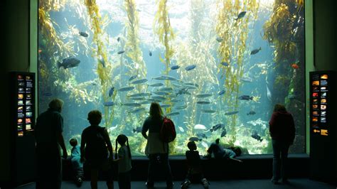 Birch Aquarium at Scripps | , USA | Attractions - Lonely Planet