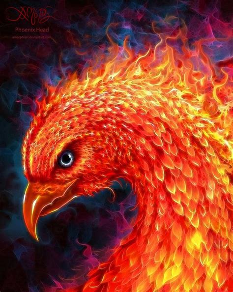 Phoenix Head by Christos Karapanos | Ave fenix imagenes, Ave fenix dibujo y Diseño del tatuaje ...