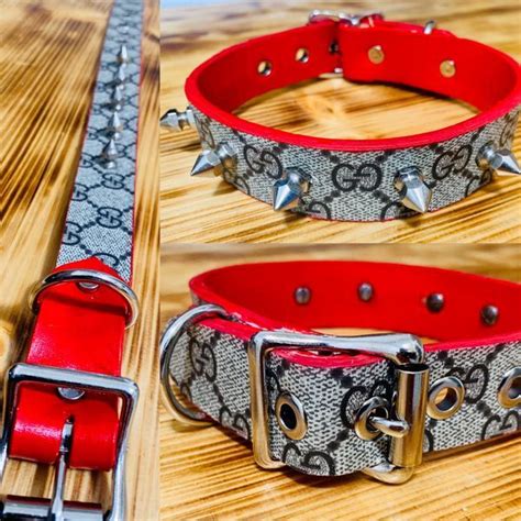 Repurposed Gucci dog collar for Sale in Tampa, FL - OfferUp | Gucci dog collar, Gucci, Dog collar