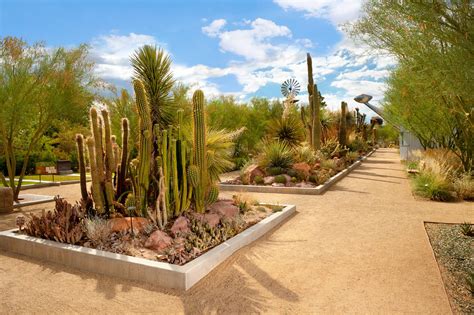 Springs Preserve - Pathways to STEM Nevada