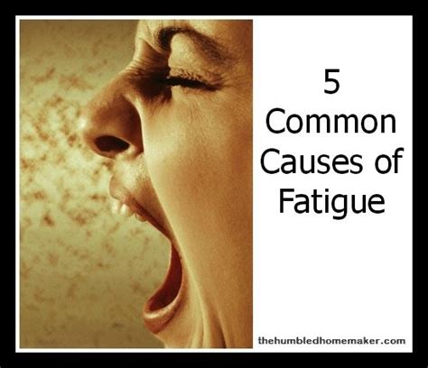 5 Common Causes of Fatigue | The Humbled Homemaker