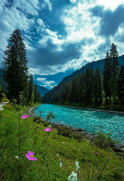 Gurez Valley, Kashmir #India | Beautiful nature, Beautiful scenery ...