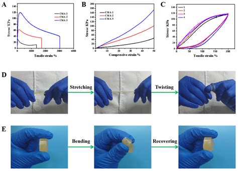 Natural Polymer Hydrogel Enhances Material Properties