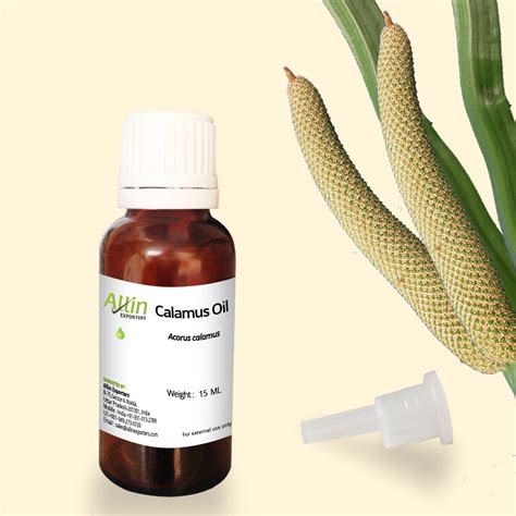 Experience The 100% Pure And Natural Calamus Oil - Essential Oils - Fanpop