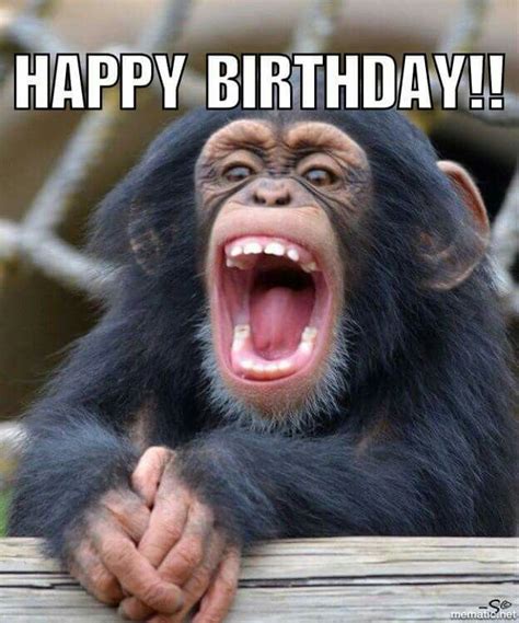 Happy birthday monkey | Funny happy birthday meme, Funny happy birthday ...