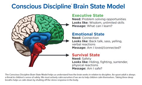 Conscious Discipline- The Three Brain States - Carmel Mountain Preschool