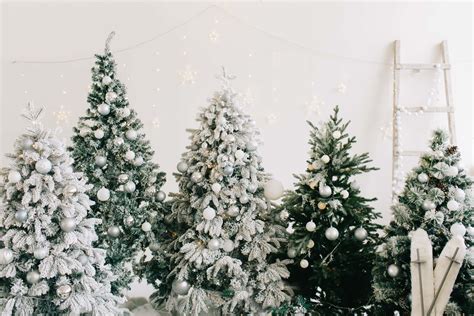 [100+] White Christmas Backgrounds | Wallpapers.com