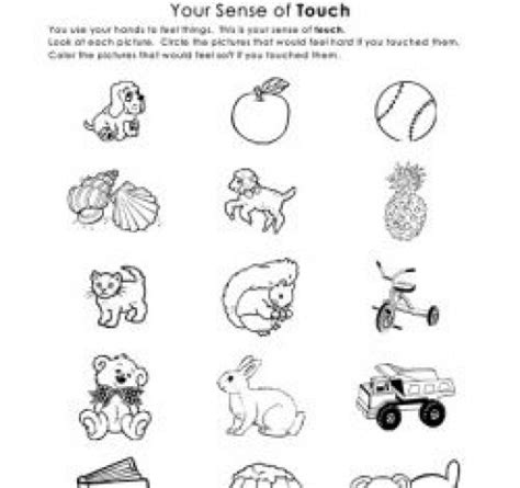 Teaching Sense of Touch - The Five Senses | HubPages