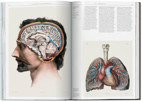 Coffee Table Book Celebrates 500 Years of Science Illustration