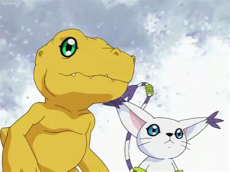 Agumon and Gatomon by Tatsunokoisthebest on DeviantArt