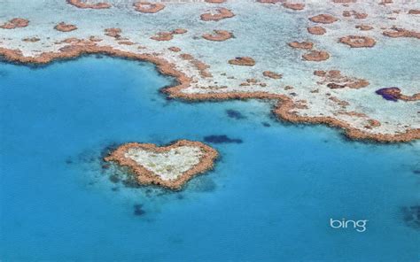 Best Of Bing Australia - Australian Landmarks & Tiere Hintergrund (33726824) - Fanpop