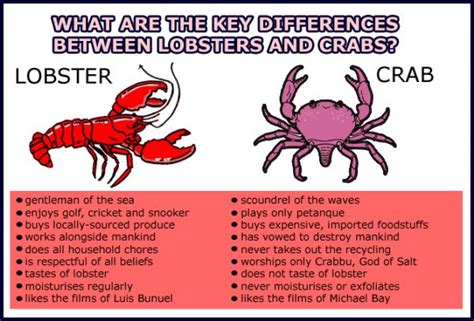 IMPORTANT INFORMATION What are the key differences between lobsters and crabs? Reminds me of ...