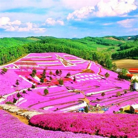 Takinoue in Hokkaido, Japan 🇯🇵 | Cool places to visit, Colorful places ...