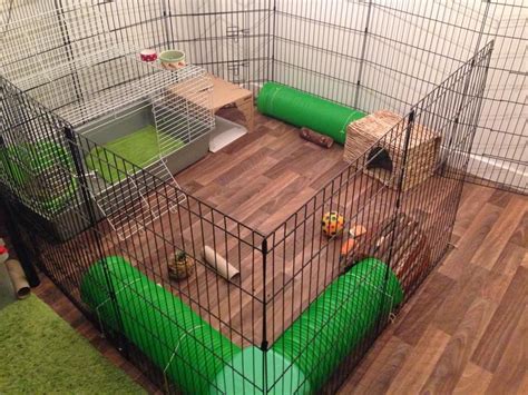 When these bunnies are not sprinting about the house, they sleep here. | Diy rabbit cage, Diy ...