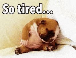 So Tired GIF by memecandy - Find & Share on GIPHY