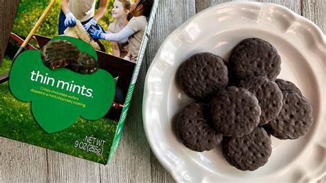 Don't Panic, But There's A Girl Scouts Thin Mints Seasoning Blend Now