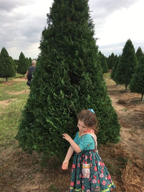 Dewberry Farms Christmas Tree Shopping | Wandering with Callie