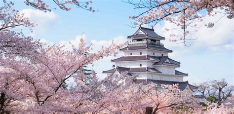 4 Yamagata Cherry Blossom Sites You Won’t Want to Miss This Spring - Travelogues from Remote Lands