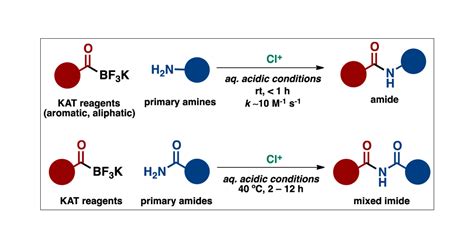 Amine Vs Amide Structure