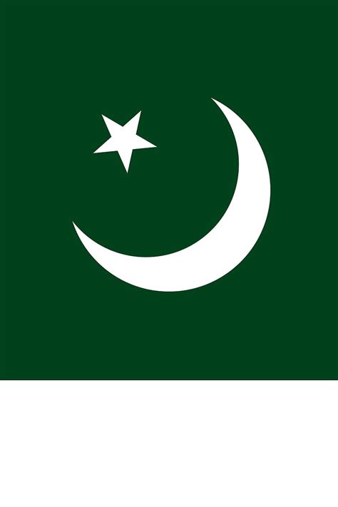 Pakistan Flag, cresent, flags, logo, moon, pak, pakistani, star, HD phone wallpaper | Peakpx