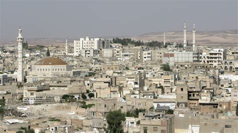 46 Facts about Hama - Facts.net