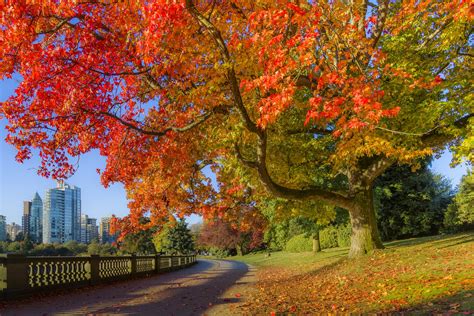 How to See Canada's Fall Foliage at Its Peak