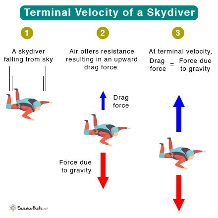 Terminal Velocity of Human Skydiver