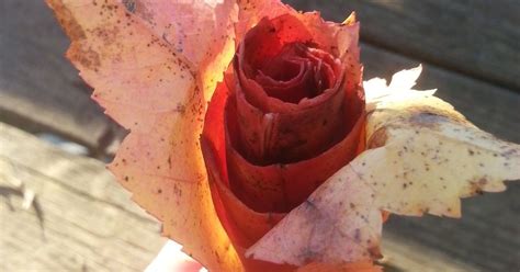 Leaf Roses | Hometalk