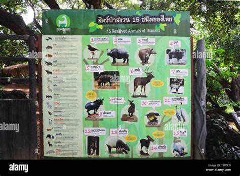 BANGKOK, THAILAND - AUGUST 10, 2018: bulletin board of 15 Wildlife ...