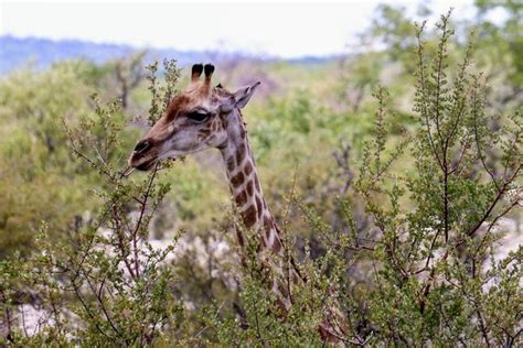 10 Best Active Tours in Namibia 2024/2025 - TourRadar