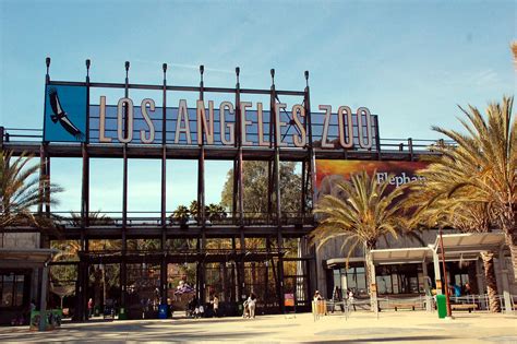 Travel Foodie at Heart: Los Angeles Zoo