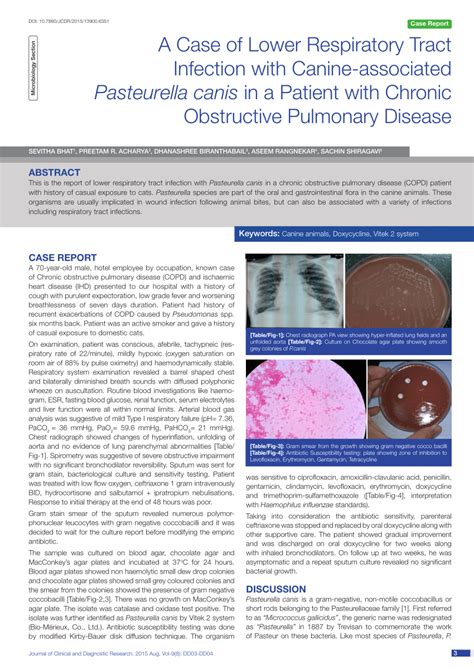 (PDF) A Case of Lower Respiratory Tract Infection with Canine-associated Pasteurella canis in a ...