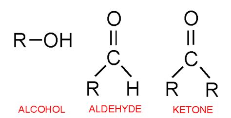 The two functional groups present in a typical carbohydrate are - askIITians