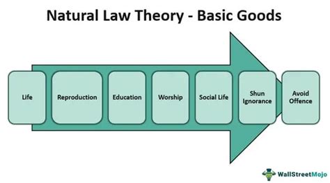 Natural Law - Definition, Theory, Ethics and Examples