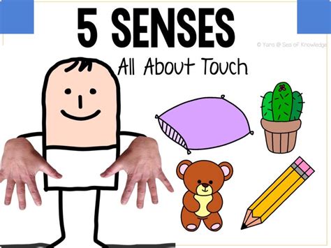 Let’s Learn All About The 5 Senses - Touch Free Games online for kids in Pre-K by Yara Habanbou