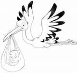 Ausmalbilder Storch  Malvorlagen Kostenlos Zum Ausdrucken sketch template