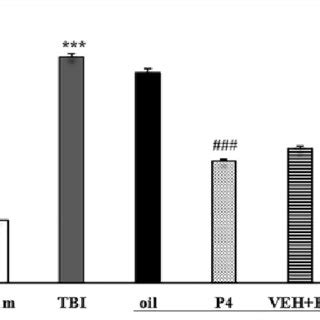 Effects of progesterone and progesterone receptor antagonist on brain ...