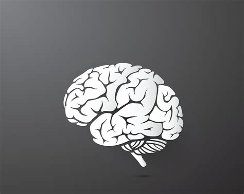 Brain paper art style illustration,vector design element eps10 ...