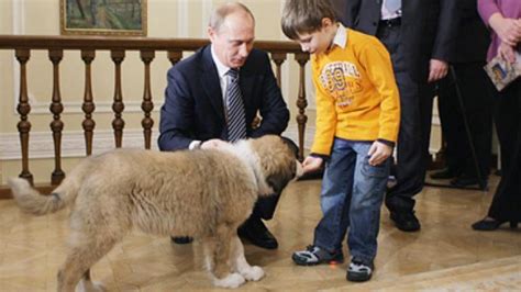 Five-year-old boy chooses name for Putin’s pet — RT News