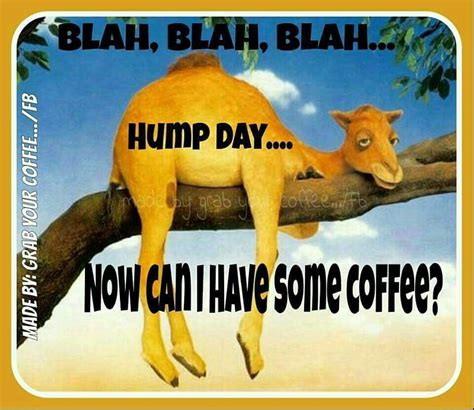 Wednesday Hump Day Coffee Memes - kmorissette