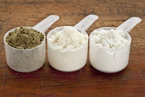 Dairy-Free Protein Powders by Zen Principle