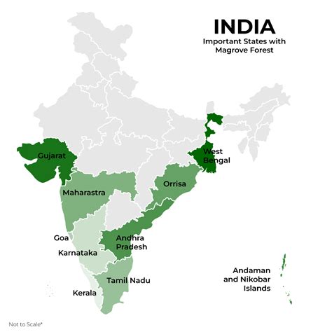 Mangrove Forest In India Map Upsc